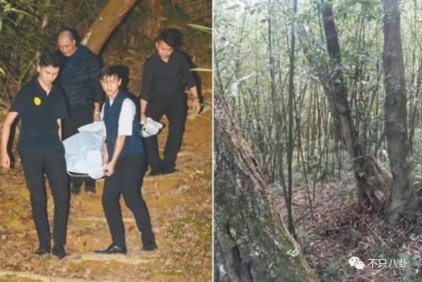 三年抱俩！曾宣称不婚的他如今抱娃速度好快啊！