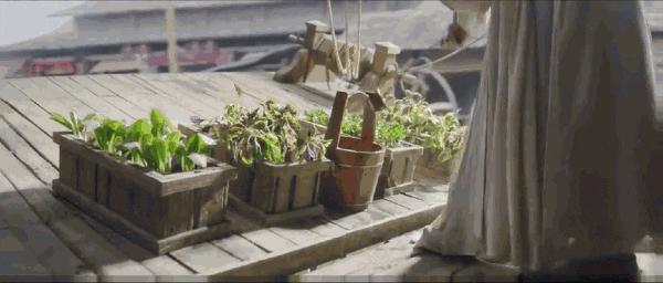 他爆了，资本押错宝了？