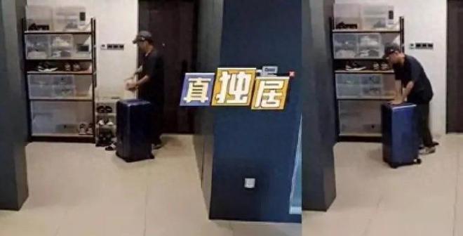 李维嘉为何单身？看完他的独居生活，我明白了