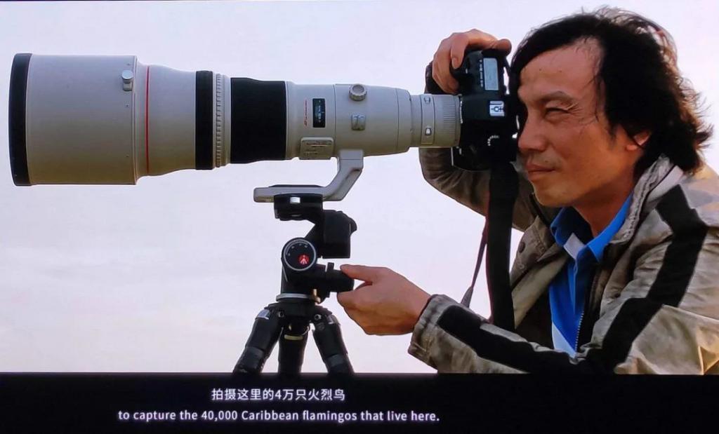 排挤章泽天的京圈名媛，现在过成这样？