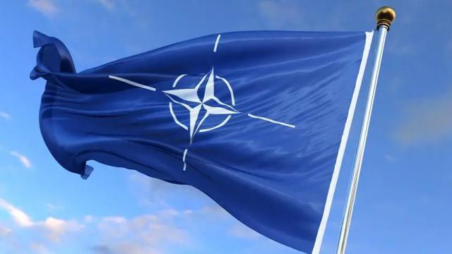 入约再受阻！匈牙利推迟批准瑞典加入北约的申请