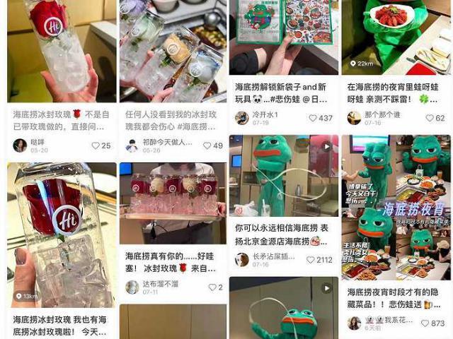 海底捞为了业绩回升，在演唱会门口积极“招揽”顾客的努力可嘉