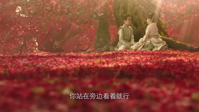 杨紫的好演技，多亏了被嘲的颜值