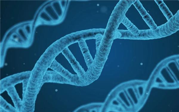 宝马中国紧急捐赠1.5亿元，驰援北京防汛救灾