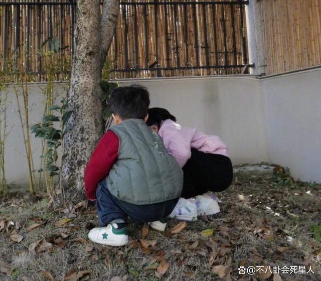 42岁朱丹疑似高龄怀三胎，跟周一围秀恩爱，却被嘲摆拍