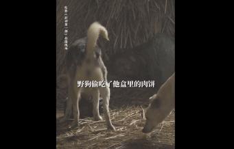 「封神」，欠我们的你什么时候还