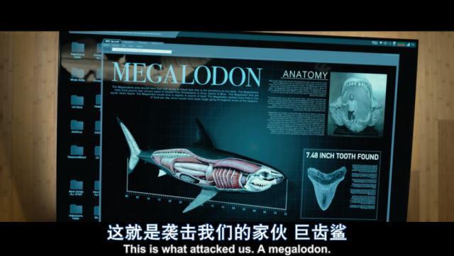 暑期档第一爽片，终于来了