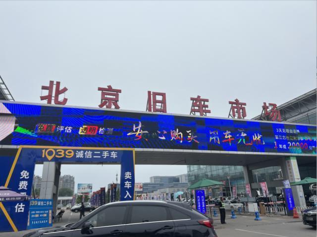 蚂蚁微尘故事：自由自在、守旧和困局中的人们