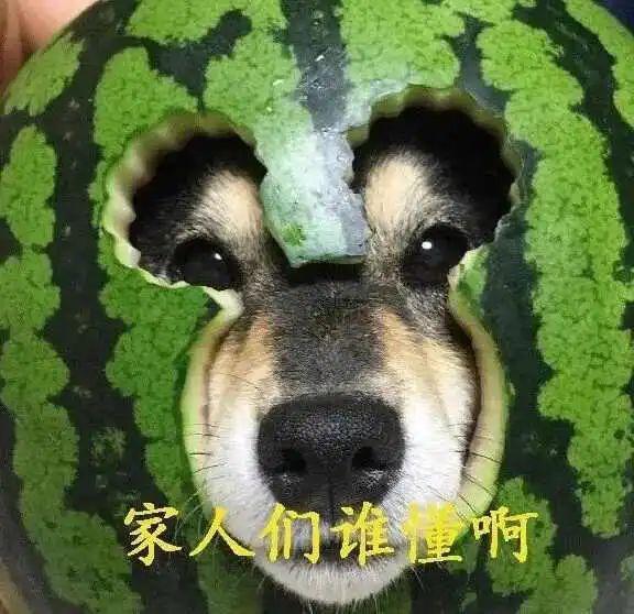 糊成这样，还好意思吹？