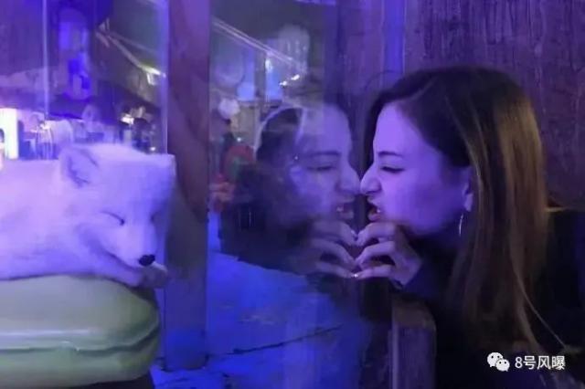 没有名字的五年等待，值得么？