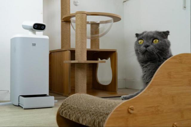 智能宠物养育：我们到达了什么阶段了？