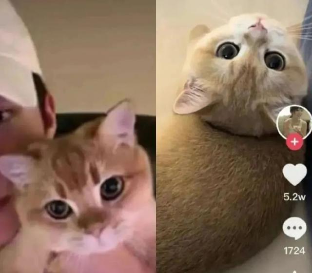 出轨老公好兄弟，闹上热搜，女儿脸都丢光…