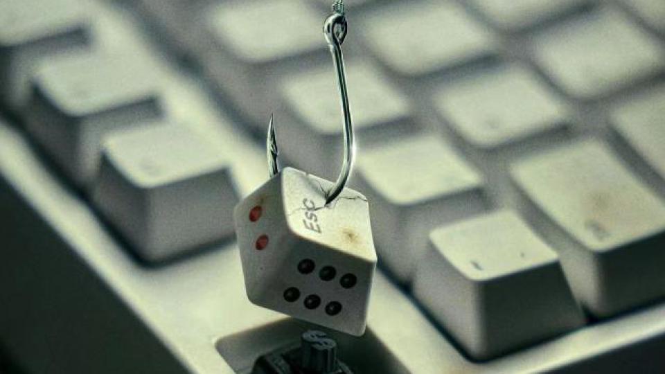 抱歉，《孤注一掷》，我实在夸不出口