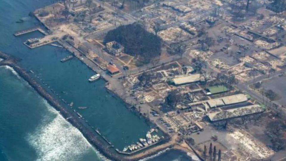 美国夏威夷毛伊岛大火已致80人死亡，中国亲历者发声