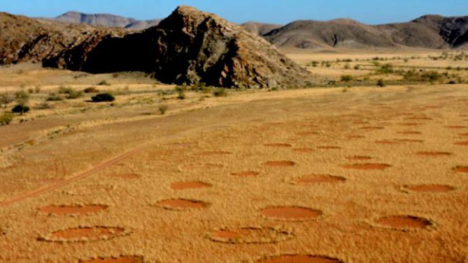 沙漠上的一个个“神秘怪圈”，真的是外星人干的吗？