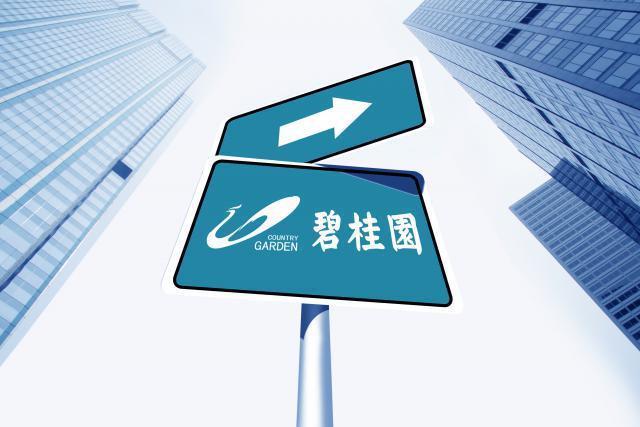 碧桂园的困局，不是救或不救那么简单