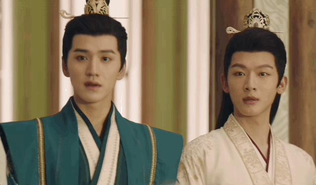 逐一品评杨紫的后宫