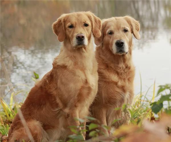 昊铂GT，把试驾玩成了摇号