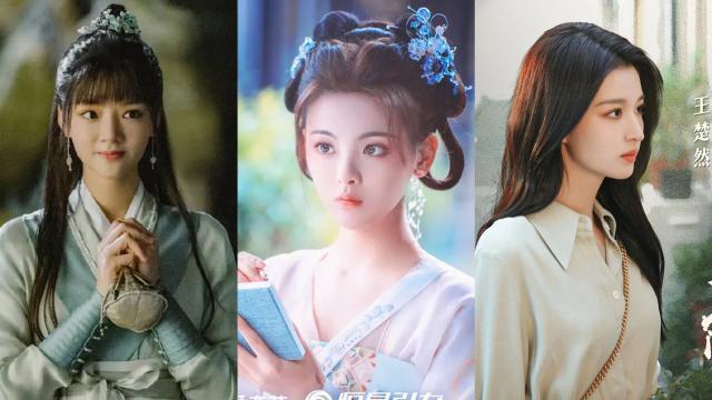 95花混战暑期档，最后赢的怎么还是杨紫？