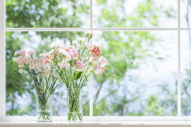 视觉中国，知识产权市场的“毒瘤” ？