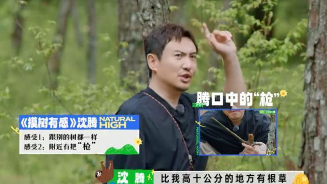 含腾量充足，果然又承包了我的笑点