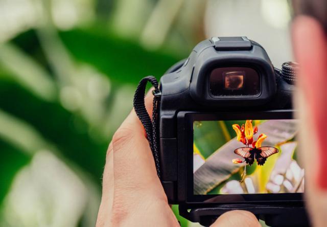 视觉中国一边被骂一边数钱