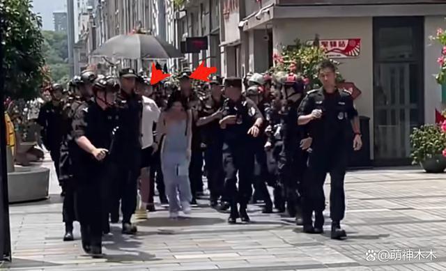 杨颖出行安保阵仗大，特警长排维护开路，网友怒斥浪费资源