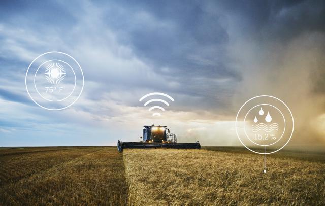 北上广一年3000元的共享菜地被疯抢，共享菜园真的赚钱吗？