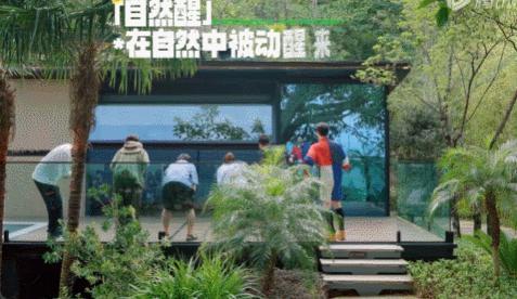 怎么能把逗魏大勋这件事，整出一百种花活的啊