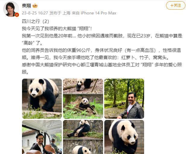 费翔看望自己领养的大熊猫 亲手给翔翔喂红萝卜笑开花