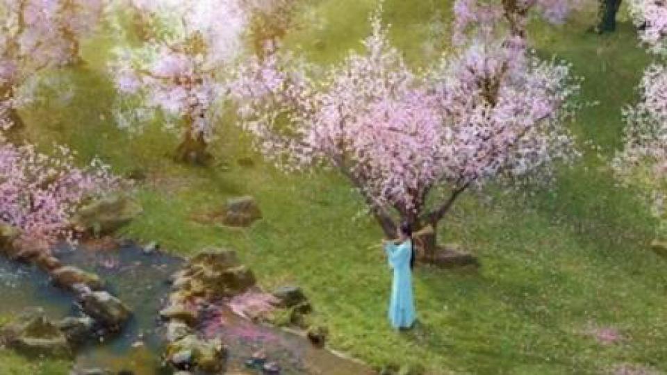 新林黛玉惹争议，几人能撑起气质？有人能锄两亩地，有人从书中走出