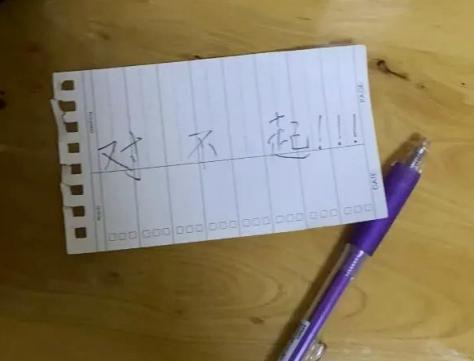 她这魔幻热搜，又逼疯了全网