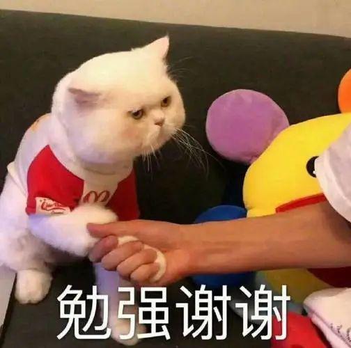 2023年港姐是现实版《美丽战场》吧