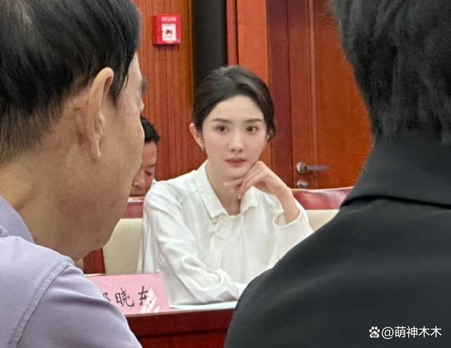 3年赚4个亿，杨幂呼吁抵制天价片酬遭质疑，45亿身家被扒