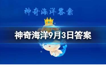 神奇海洋9月3日答案 食蟹海豹主要以什么为食