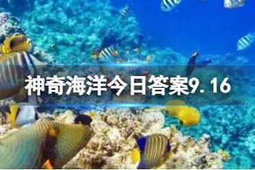 海洋中的“苔藓”属于藻类吗 蚂蚁森林神奇海洋今日答案9.16