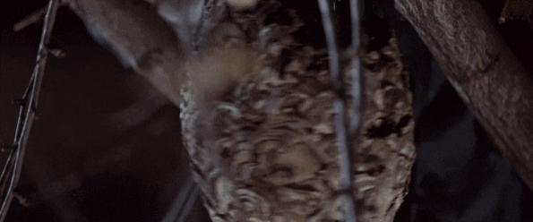 9.7分国产第一，又来搞事了