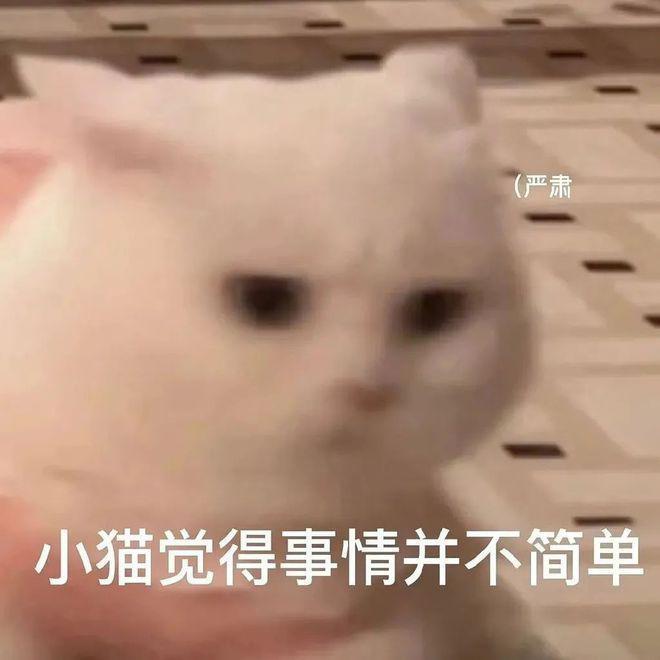 这档考验内娱真友谊的节目,竟然真的很治愈?