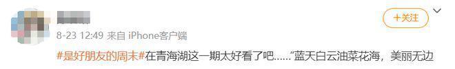 这档考验内娱真友谊的节目,竟然真的很治愈?
