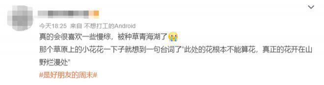 这档考验内娱真友谊的节目,竟然真的很治愈?
