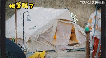 这档考验内娱真友谊的节目,竟然真的很治愈?