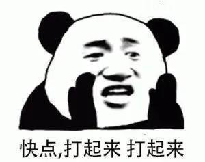 这么勾心斗角不会打起来吗？