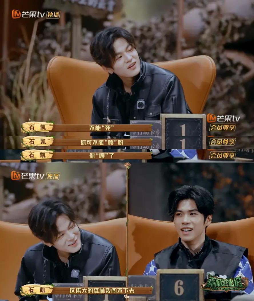这么勾心斗角不会打起来吗？