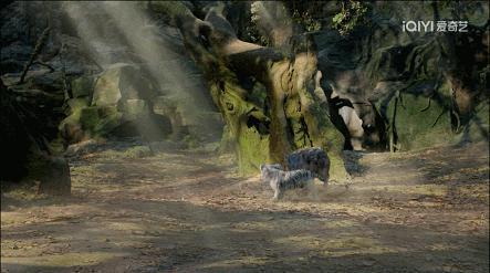 播到大结局还这么烧脑，有没有人管管这部剧！