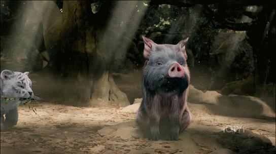 播到大结局还这么烧脑，有没有人管管这部剧！