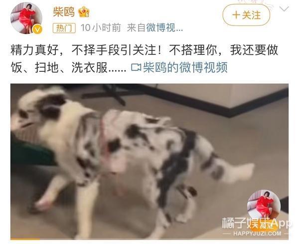 她被霸凌过？从红极一时到查无此人，当年到底发生了什么？