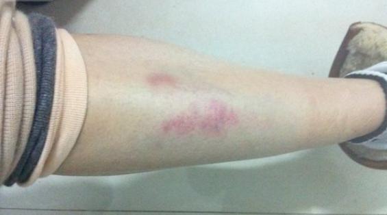 这个血腥大瓜，背后信息量也太大了。