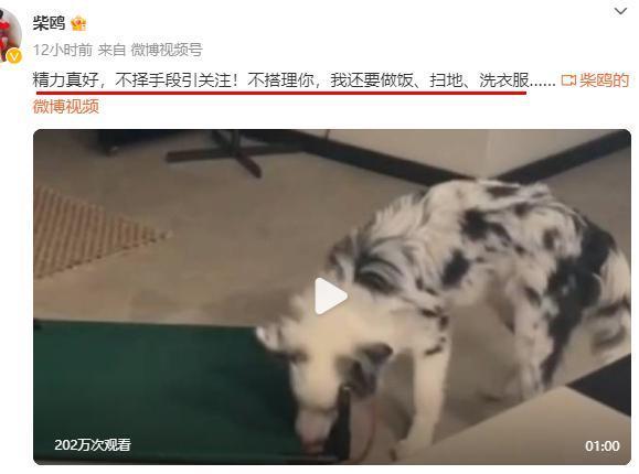 这个血腥大瓜，背后信息量也太大了。