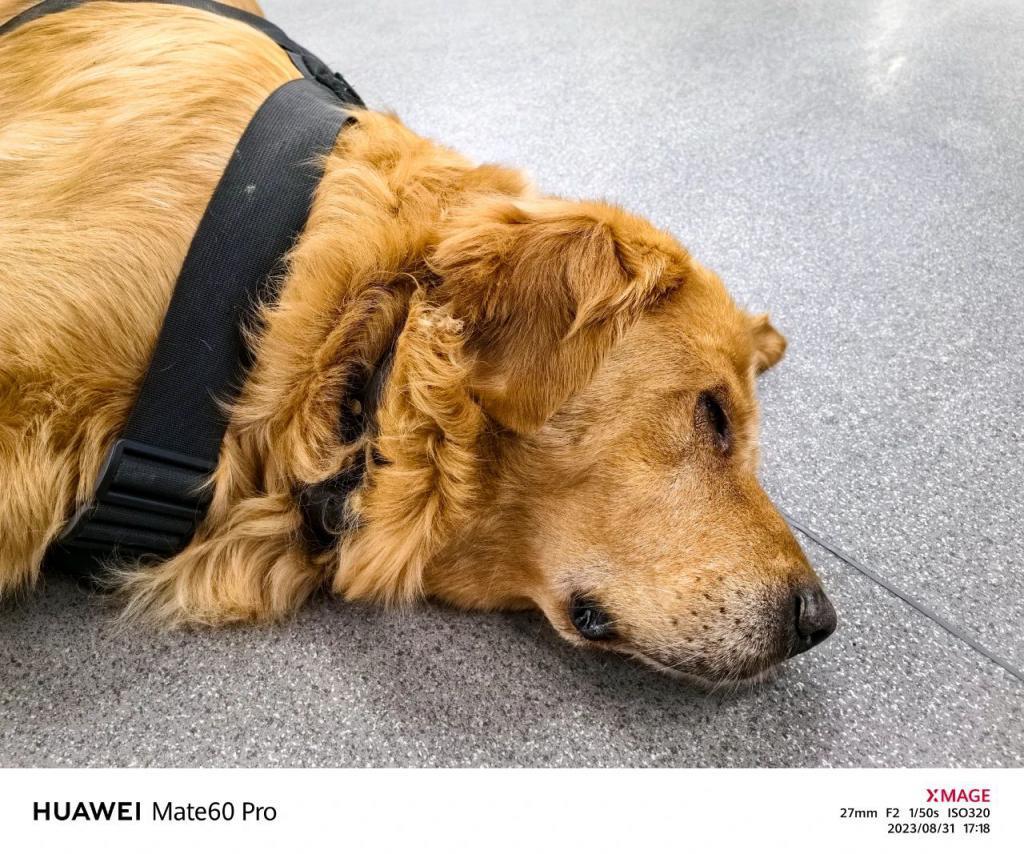 上手华为Mate60 Pro后，我更期待它的未来表现了。