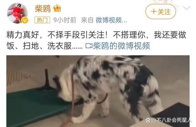 两天8个瓜：偷漏税、被霸凌、一夜情、当小三，个个让我意外